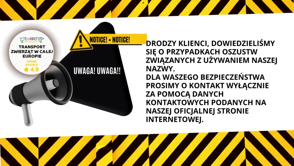 Międzynarodowy transport zwierząt domowych