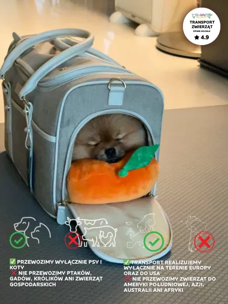 Transport zwierząt na Majorkę