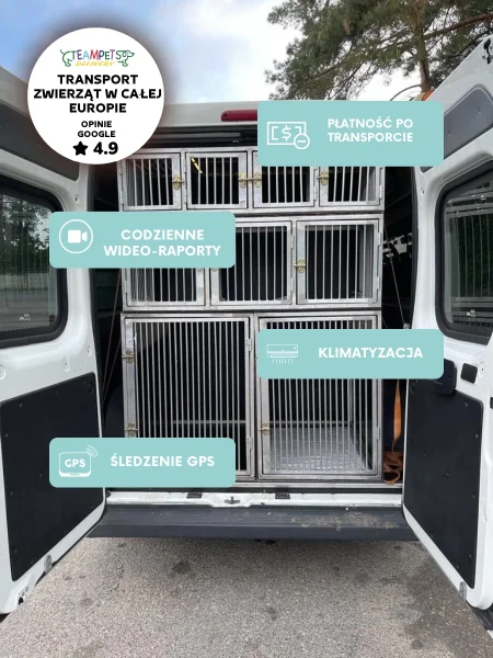 Transport zwierząt w całej Europie