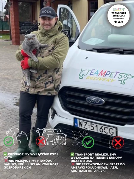agencja transportu zwierząt