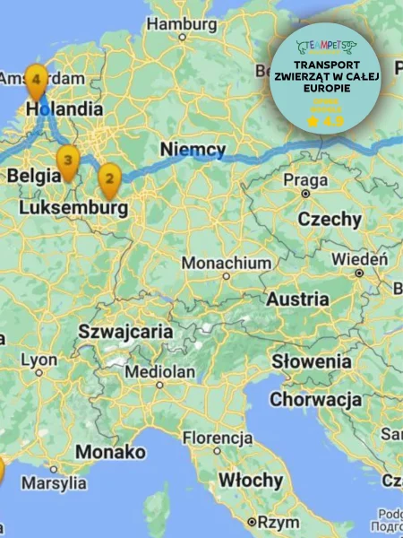 transport-zwierzat-polska-niemcy.webp